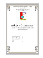 NGHIÊN cứu hệ THỐNG điều KHIỂN cân BĂNG DOSIMAT 