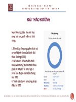 Bài giảng đái tháo đường   ths  BS nguyễn phúc học