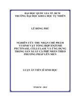 Nghiên cứu thu nhận chế phẩm vi sinh vật tổng hợp enzym pectinase, cellulase và ứng dụng trong sản xuất cà phê nhân theo phương pháp lên men