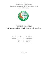 TIỂU LUẬN HỌC PHẦN HỆ THỐNG QUẢN LÝ CHẤT LƯỢNG MÔI TRƯỜNG