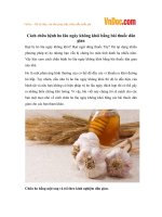 Cách chữa bệnh ho lâu ngày không khỏi bằng bài thuốc dân gian