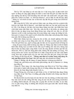 thực hiện dự án thương mại điện tử (electronic commercer)  