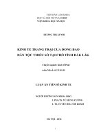 Kinh tế trang trại của đồng bào dân tộc thiểu số tại chỗ tinht đắk lắk 