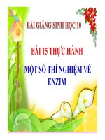 Bài giảng Sinh học 10 bài 15: Thực hành một số thí nghiệm về enzim