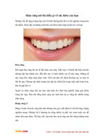 Hàm răng nói lên điều gì về sức khỏe của bạn