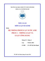 Tiểu luận hệ thống pháp luật nước anh  Phần Thông luật và luật công bằng