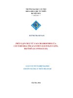 Phân lập chất từ cao Cloroform của cây ô rô hoa tím Acanthus Ilicifolius Linn họ ô rô (ACANTHACEAE)