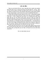 Thiết kế mạch tự động cấp kích từ cho động cơ đồng bộ   