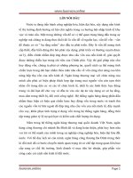 Giải pháp tăng cường huy động vốn tại ngân hàng công thương ba đình 