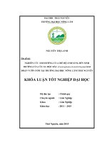 Nghiên cứu ảnh hưởng của chế độ ánh sáng đến sinh trưởng của cây sa mộc dầu (cunninghamia konishi hayata) giai đoạn vườn ươm tại trường đại học nông lâm thái nguyên 