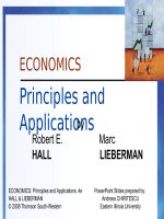 Economics principles and applications