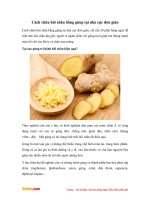 Cách chữa hôi chân bằng gừng tại nhà cực đơn giản