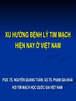 Xu hướng bệnh lý tim mạch hiện nay ở Việt Nam
