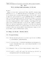 Nghiên cứu xây dựng quy hoạch hệ thống các quy chuẩn,tiêu chuẩn lĩnh vực địa kỹ thuật và nền móng công trình đến 2030 chuong 9 móng cọc tiết diện nhỏ