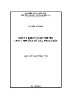 Một số thuật toán tìm phủ trong mô hình dữ liệu dạng khối 