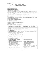 Bộ giáo án lớp 3 (mới và đầy đủ)