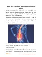 Nguyên nhân, triệu chứng và cách điều trị thoái hóa cột sống thắt lưng