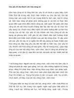 Các yếu tố cấu thành văn hóa công sở