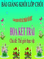 Bài giảng điện tử mầm non lớp Chồi đề tài Làm quen với tác phẩm văn học  Hoa kết trái