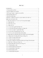 Một số giải pháp nâng cao hiệu quả sử dụng vốn tại công ty TNHH giải pháp y tế Việt Nam