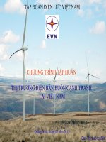 CHƯƠNG TRÌNH tập HUẤN THỊ TRƯỜNG điện bán BUÔN CẠNH TRANH tại VIỆT NAM 