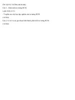 ÔN tập tư TƯỞNG HCM HK2