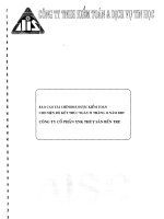 Báo cáo tài chính năm 2009 (đã kiểm toán) - Công ty Cổ phần Xuất nhập khẩu Thủy sản Bến Tre