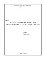 Luật môi trường ĐMT Đánh giá tác động môi trường pháp lý thực trạng giải pháp Thực trang tác động môi trường ở nước ta