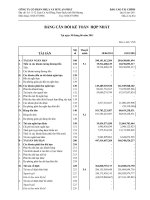 Báo cáo tài chính hợp nhất quý 2 năm 2011 - Công ty Cổ phần Nhựa và Môi trường xanh An Phát