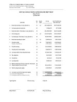 Báo cáo tài chính hợp nhất quý 3 năm 2010 - Công ty Cổ phần Nhựa và Môi trường xanh An Phát