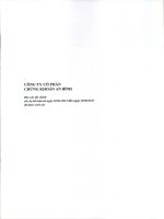 Báo cáo tài chính quý 2 năm 2013 (đã soát xét) - Công ty cổ phần Chứng khoán An Bình