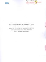 Báo cáo tài chính hợp nhất quý 2 năm 2013 (đã soát xét) - Ngân hàng Thương mại Cổ phần Á Châu