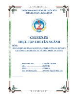 HOÀN THIỆN kế TOÁN NGUYÊN vật LIỆU, CÔNG cụ DỤNG cụ tại CÔNG TY TNHH đầu tư và PHÁT TRIỂN AN TƯỜNG 