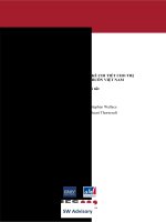 TRIểN KHAI THIếT kế CHI TIếT CHO THị TRƯờNG điện bán BUÔN VIệT NAM 