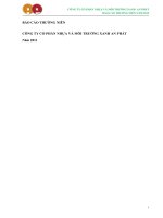 Báo cáo thường niên năm 2011 - Công ty Cổ phần Nhựa và Môi trường xanh An Phát