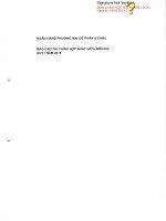 Báo cáo tài chính hợp nhất quý 1 năm 2015 - Ngân hàng Thương mại Cổ phần Á Châu