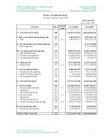 Báo cáo tài chính năm 2008 (đã kiểm toán) - Công ty Cổ phần Nhựa và Môi trường xanh An Phát