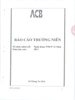 Báo cáo thường niên năm 2013 - Ngân hàng Thương mại Cổ phần Á Châu