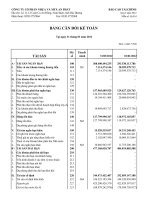 Báo cáo tài chính công ty mẹ quý 1 năm 2012 - Công ty Cổ phần Nhựa và Môi trường xanh An Phát