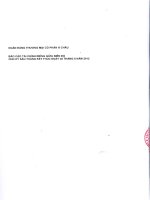 Báo cáo tài chính công ty mẹ quý 2 năm 2012 (đã soát xét) - Ngân hàng Thương mại Cổ phần Á Châu