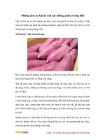 Những cấm kỵ khi ăn trái cây không phải ai cũng biết