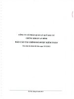 Báo cáo tài chính năm 2012 (đã kiểm toán) - Công ty cổ phần Quản lý quỹ đầu tư Chứng khoán An Bình