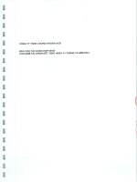 Báo cáo tài chính hợp nhất năm 2012 (đã kiểm toán) - Công ty TNHH Chứng khoán ACB