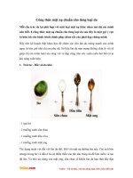 Công thức mặt nạ chuẩn cho từng loại da