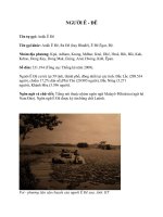 Giới thiệu về người Ê  đê