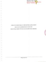 Báo cáo tài chính công ty mẹ quý 2 năm 2014 (đã soát xét) - Công ty Cổ phần Nhựa và Môi trường xanh An Phát