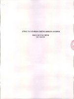 Báo cáo tài chính quý 1 năm 2013 - Công ty cổ phần Chứng khoán An Bình