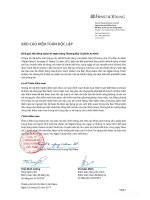 Báo cáo tài chính hợp nhất năm 2010 (đã kiểm toán) - Ngân hàng Thương mại cổ phần An Bình