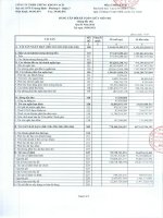 Báo cáo tài chính công ty mẹ quý 2 năm 2013 - Công ty TNHH Chứng khoán ACB