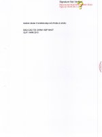 Báo cáo tài chính hợp nhất quý 1 năm 2013 - Ngân hàng Thương mại Cổ phần Á Châu